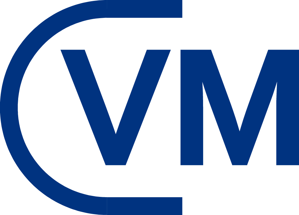 V.M Consulting FZE